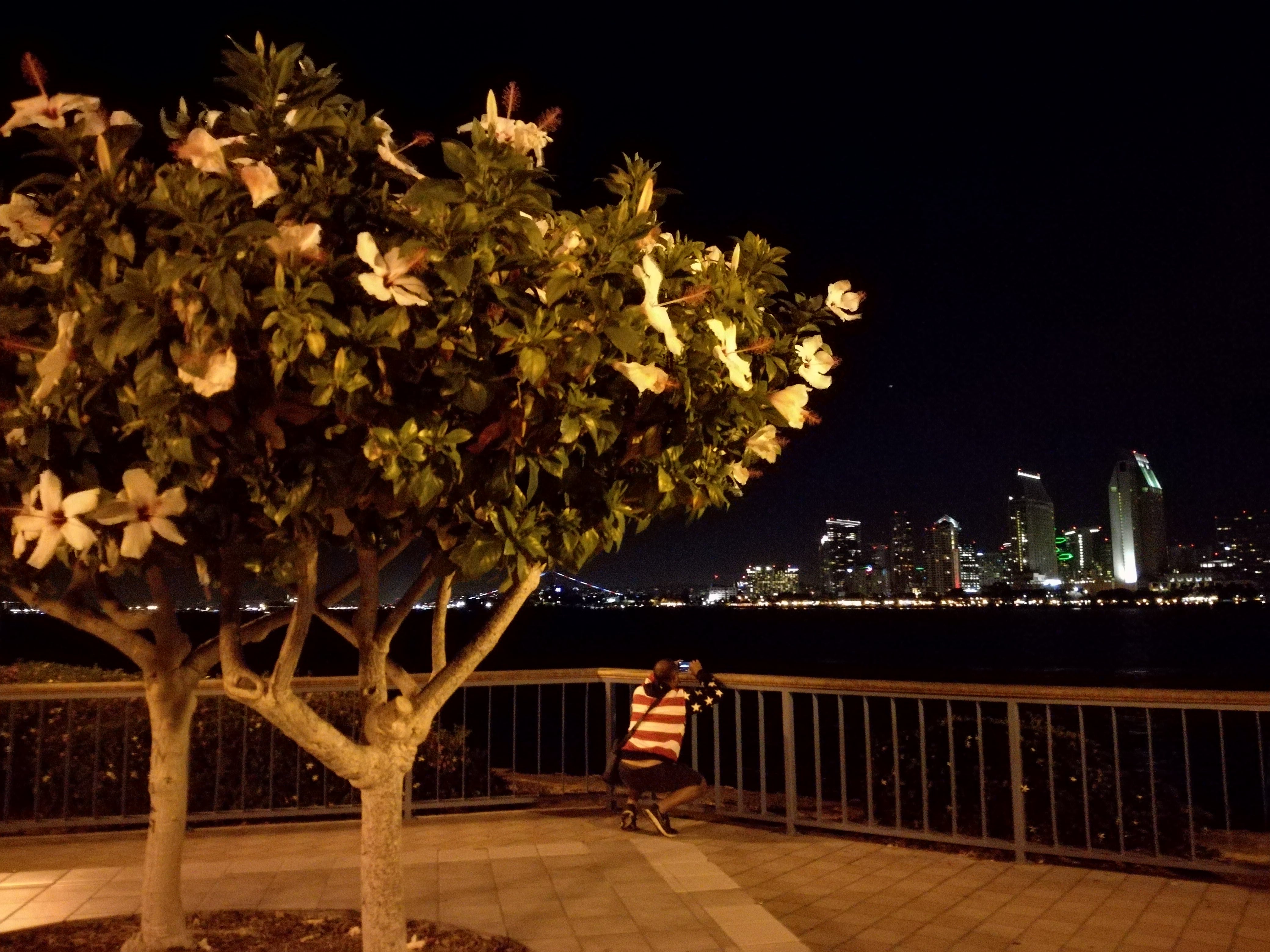 Coronado Island San Diego