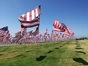 bandiere americane