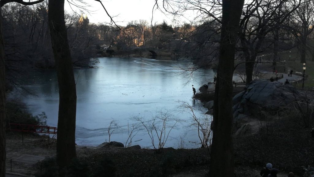 itinerario di 7 giorni a New York - Il lago ghiacciato a Central Park - New York City
