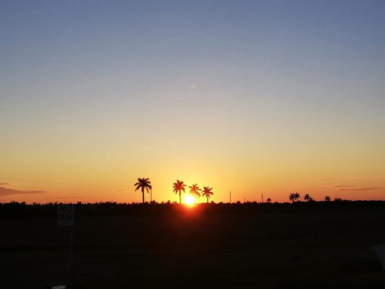 cosa fare a Homestead Miami tramonto sulle piantagioni e sulle Everglades
