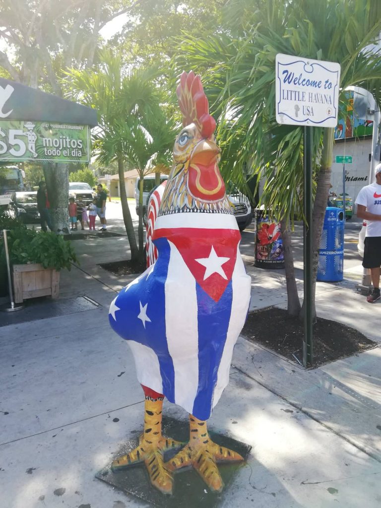 Gallo Welcome to Little Havana Miami - cosa vedere