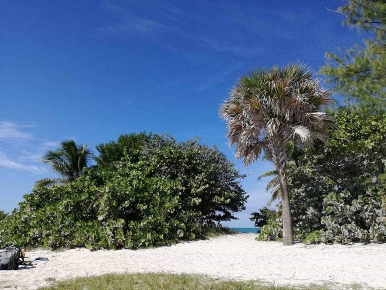 cosa vedere a Key West