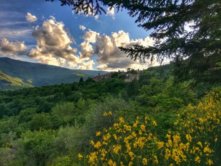 Quota di Poppi Casentino Panorama