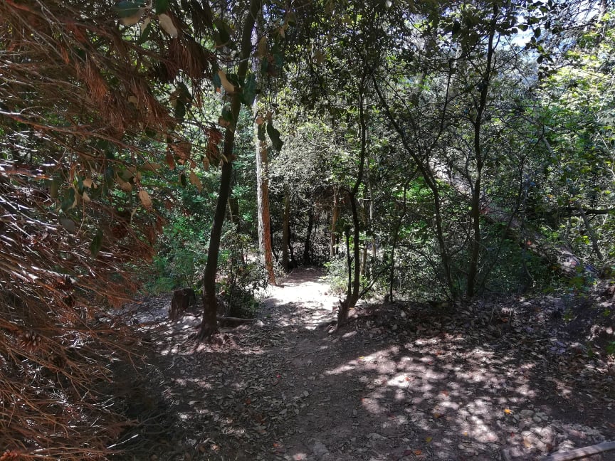 sentiero che porta alle grotte romane Monte Conero
