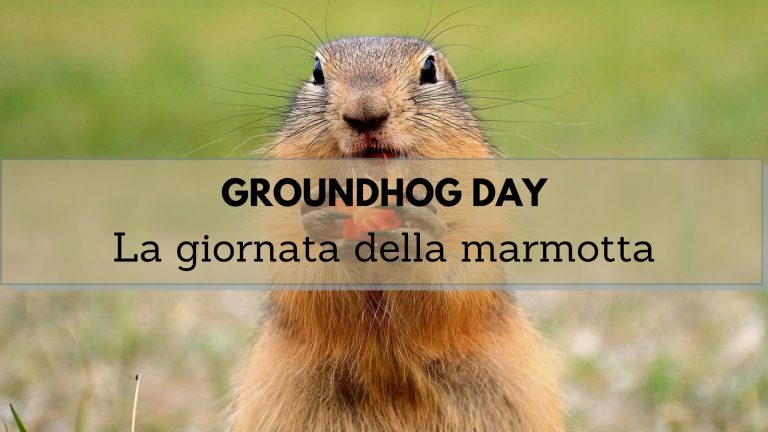 Groundhog Day Le previsioni della marmotta