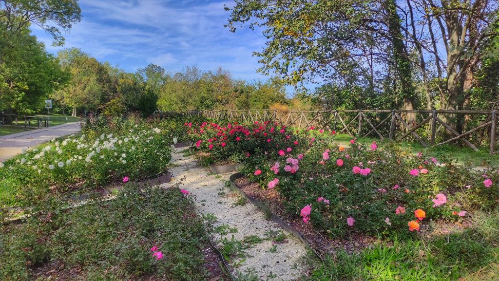 Giardino delle Rose nel parco della Cittadella di Ancona