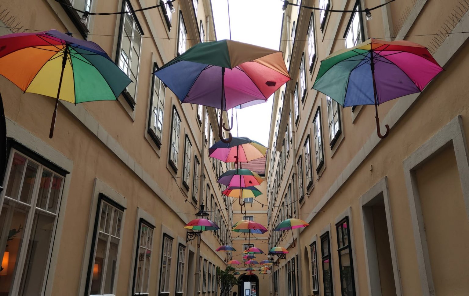 free tour vienna ombrello tricolore