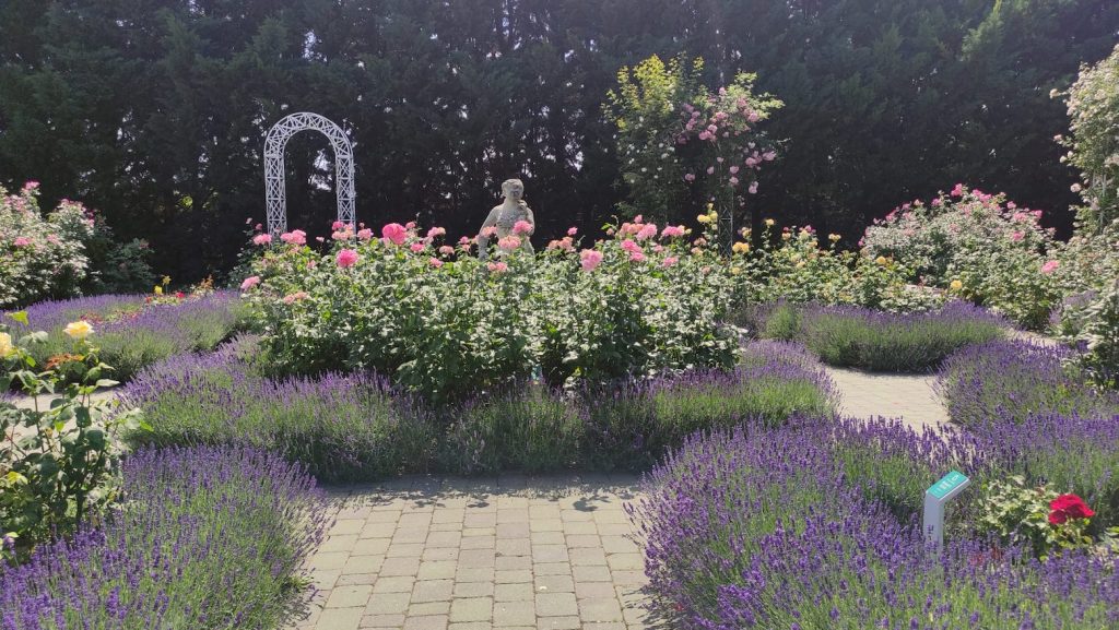 Giardino delle rose e lavanda - Blumengärten Hirschstetten