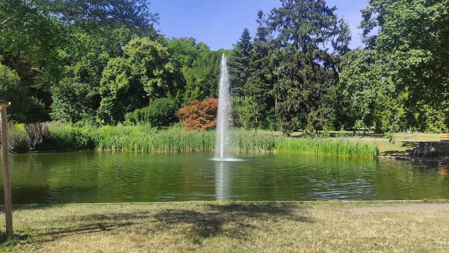 Il Türkenschanzpark, uno dei parchi più suggestivi di Vienna Usa La