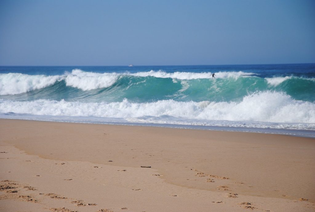 fare surf durante un viaggio in Portogallo