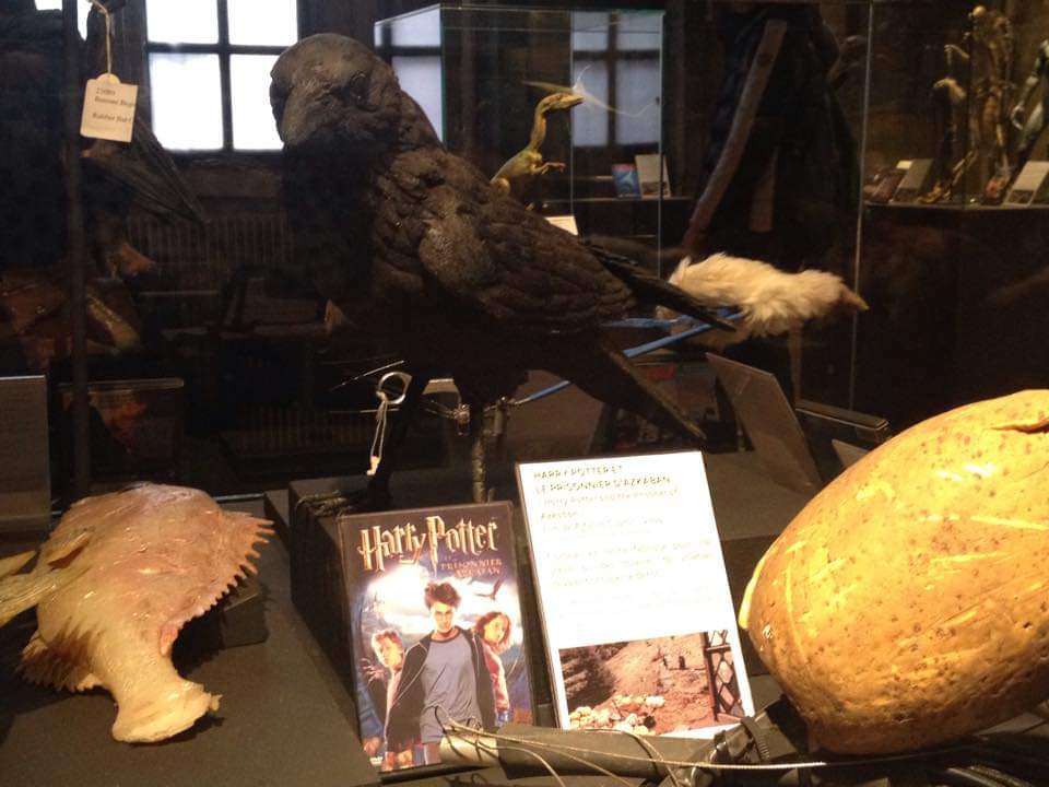 Cimeli film Harry Potter Museo del Cinema e delle Miniature cosa vedere a Lione