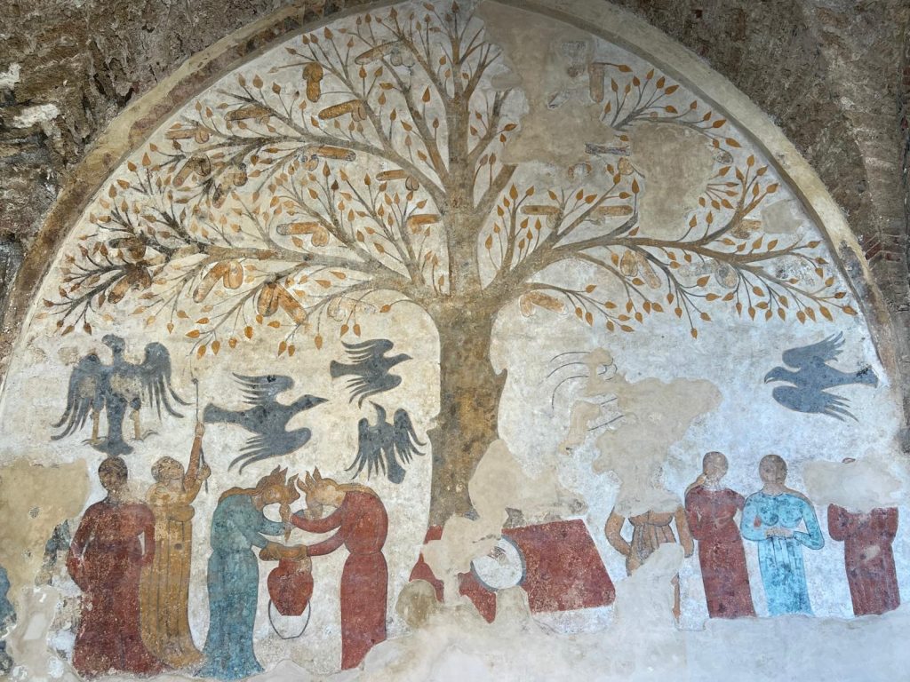 Albero della fecondità affresco XIII secolo Massa Marittima