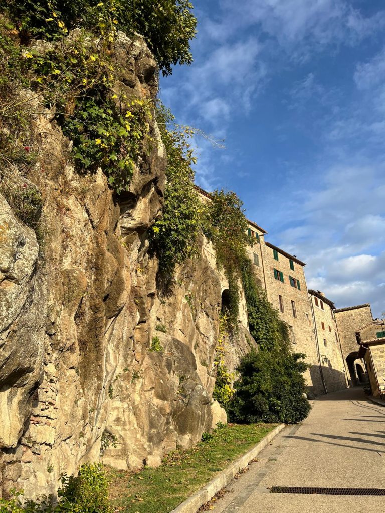 terziere borgo Santa Fiora