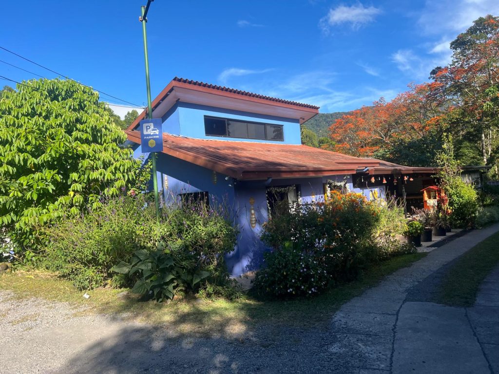 Boquete bees and butterflies