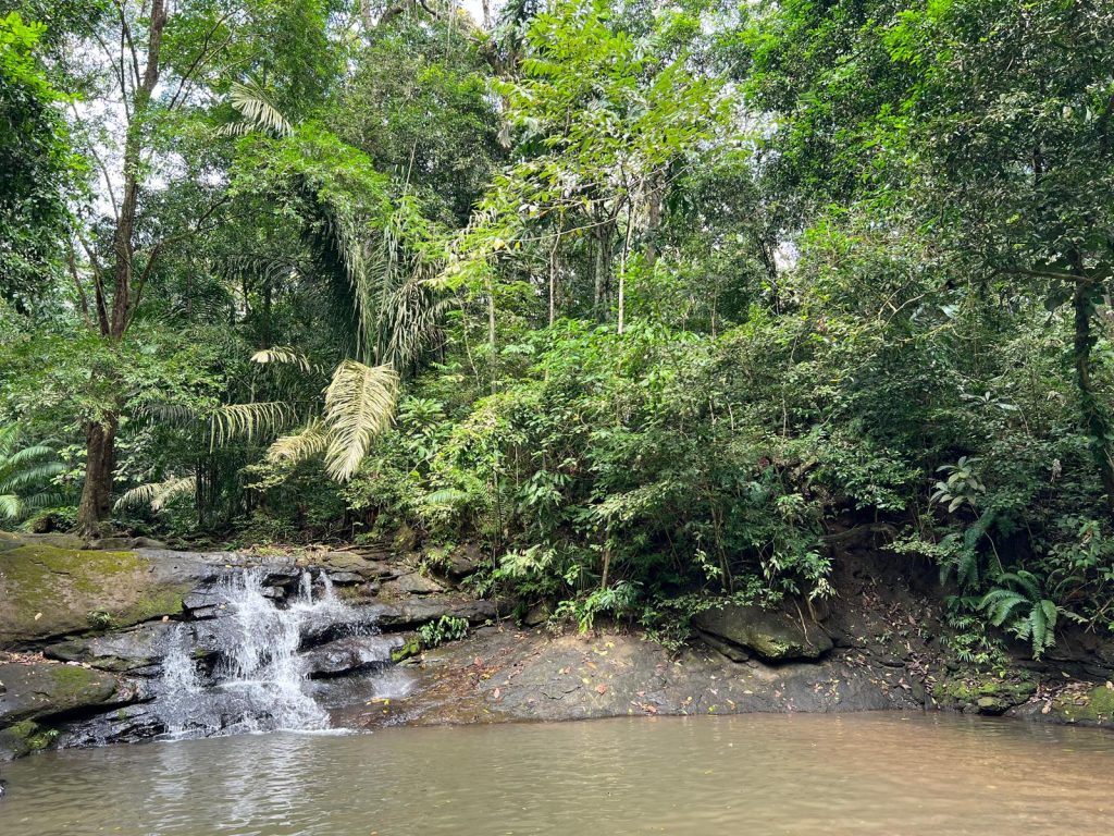 Parco Nazionale di Soberania piscina naturale el Chaco