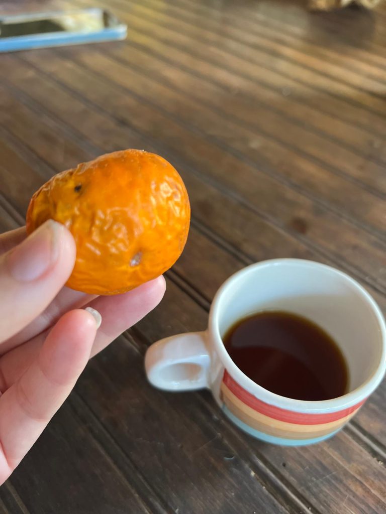 Finca Las Margaritas Don Kune Panama