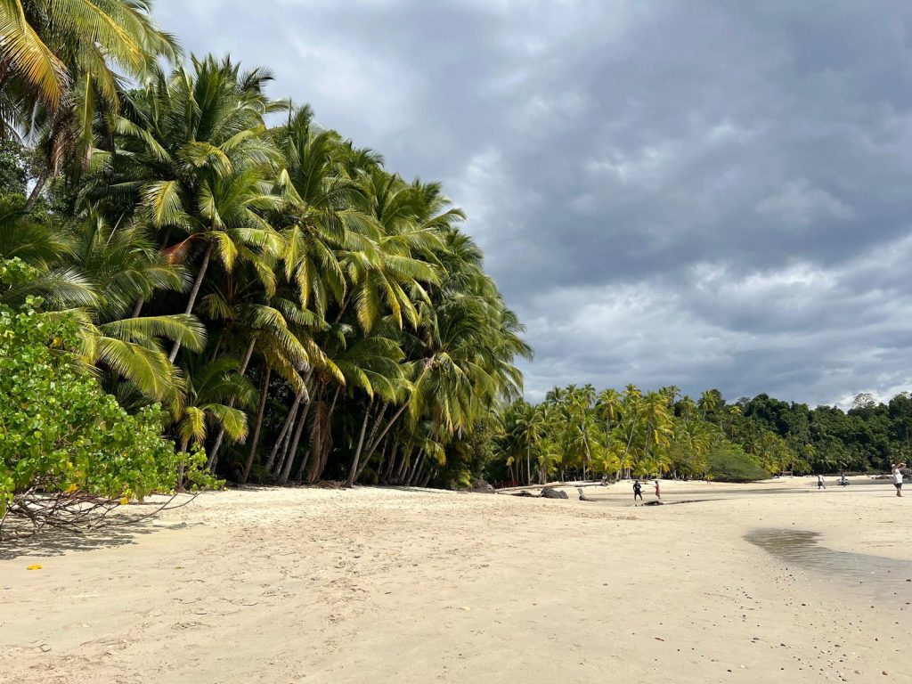 Isola rancheria Coiba Panama