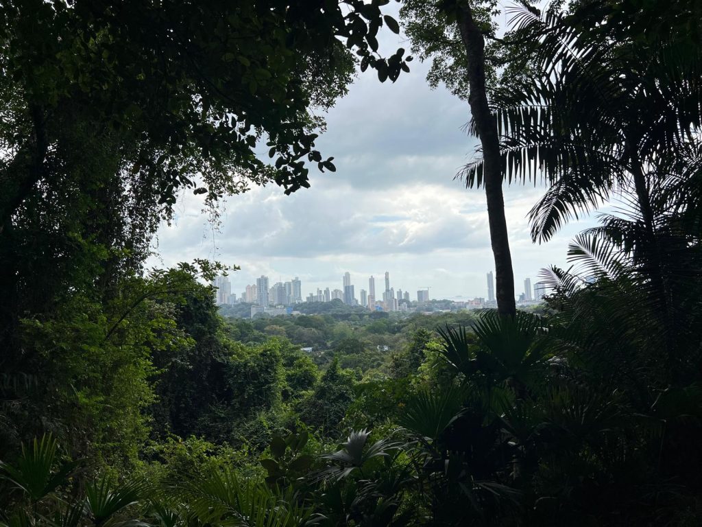 Parco Naturale Metropolitano Panama City skyline