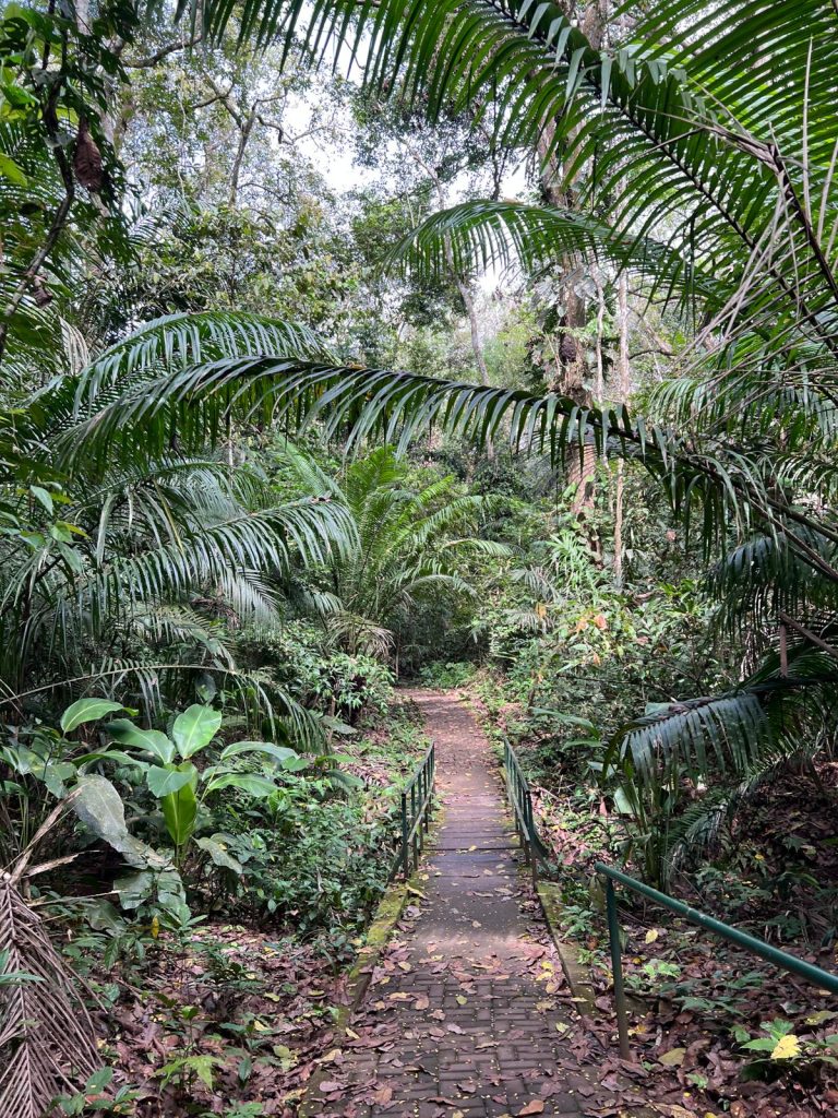 Parco Nazionale di Soberania