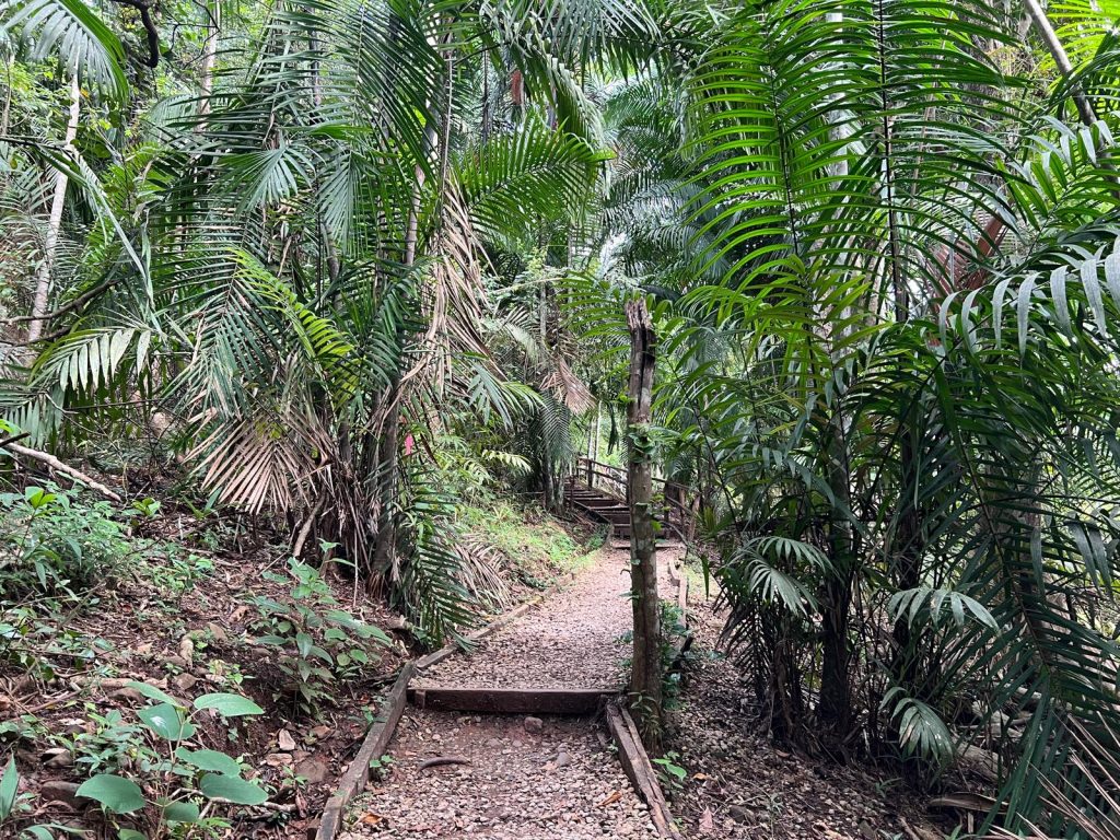 Parco Naturale Metropolitano sentiero