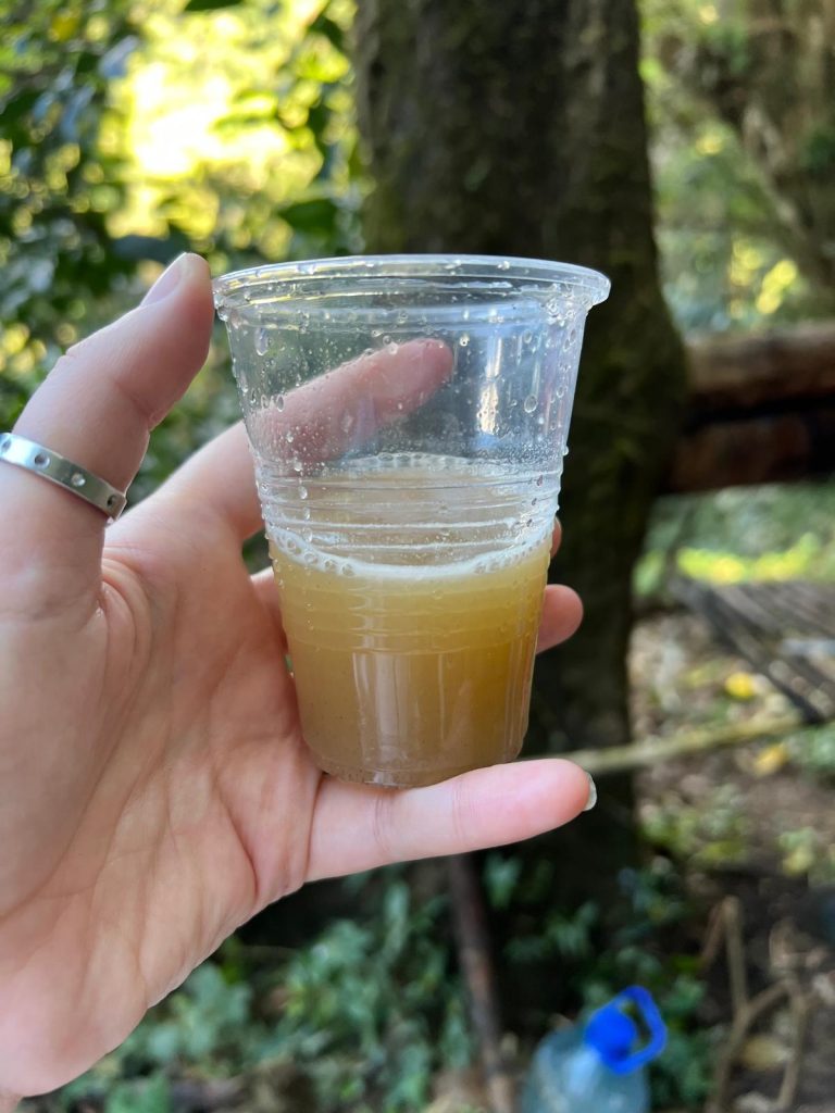 succo di canna da zucchero Finca Las Margaritas Don Kune Panama