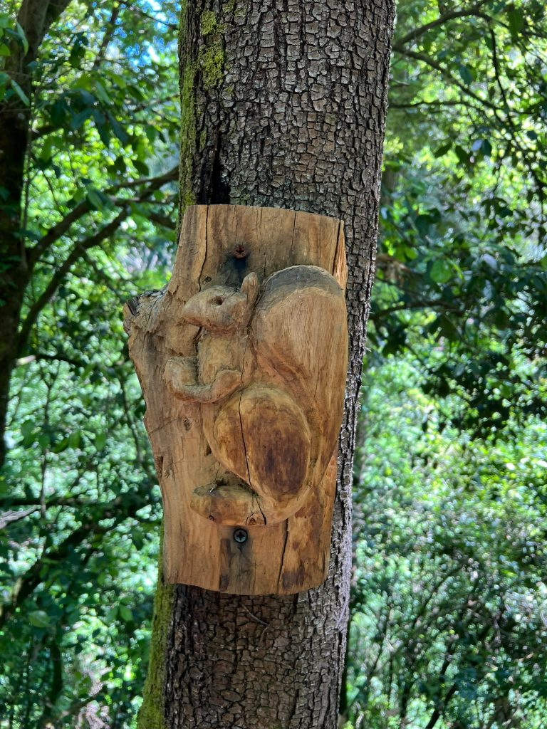 Sculture in legno Sentiero acqua zolfina Balze del Valdarno