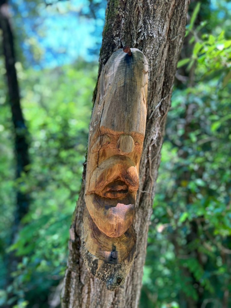 Sculture in legno Sentiero acqua zolfina Balze del Valdarno