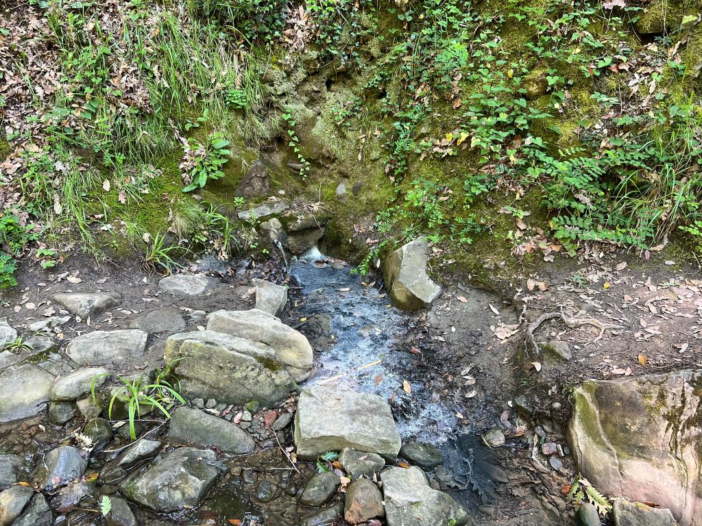 Sorgente acqua Zolfina Balze del Valdarno