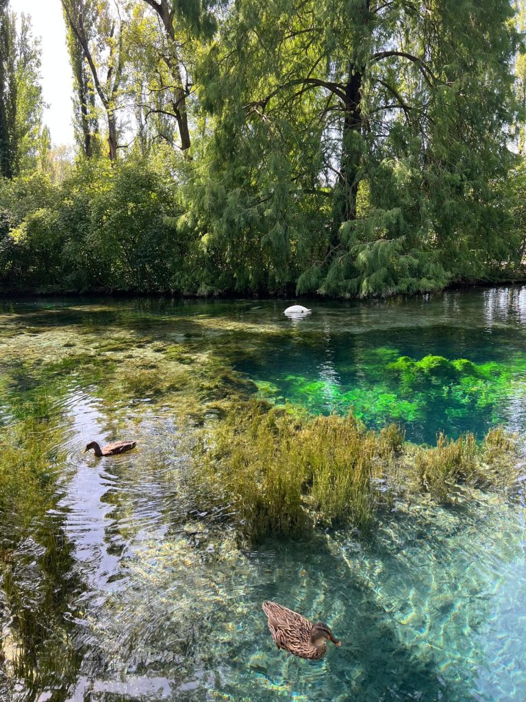 Polle laghetto Fonti del Clitunno