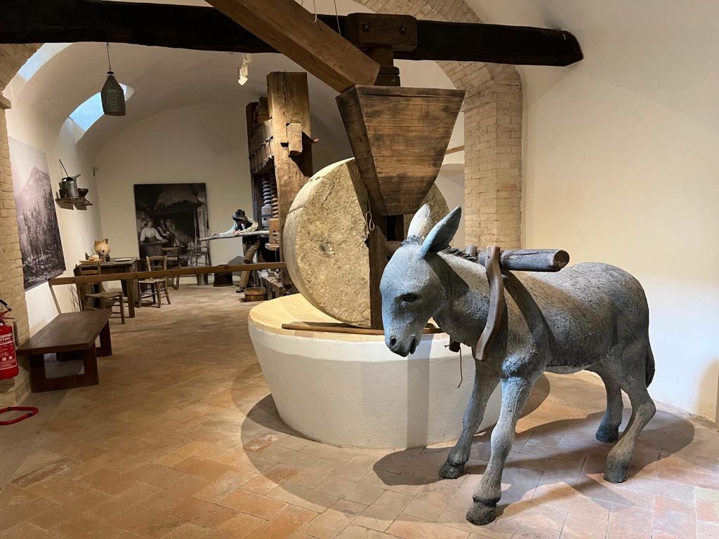 Museo della civiltà e dell'Ulivo Trevi